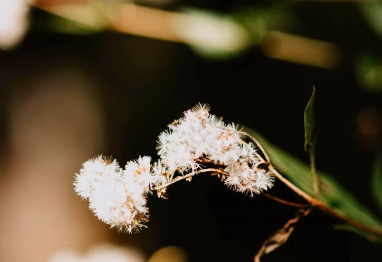 Je ne rentre pas dans les cases – et c’est là que ma photographie prend sens