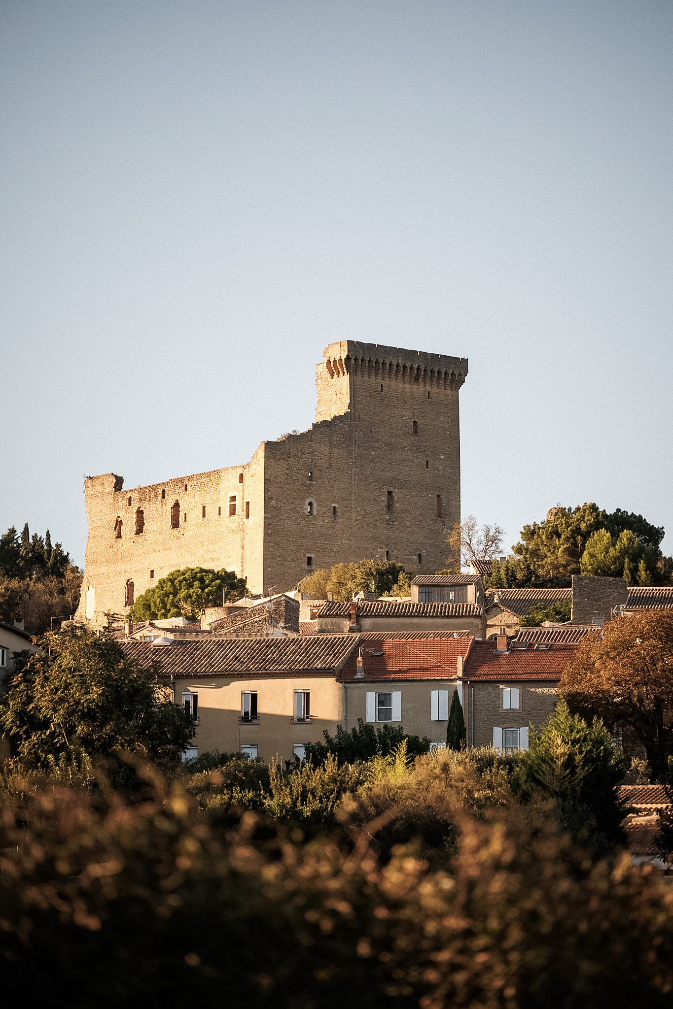 Châteauneuf-du-Pape — Entre pierres et paysages