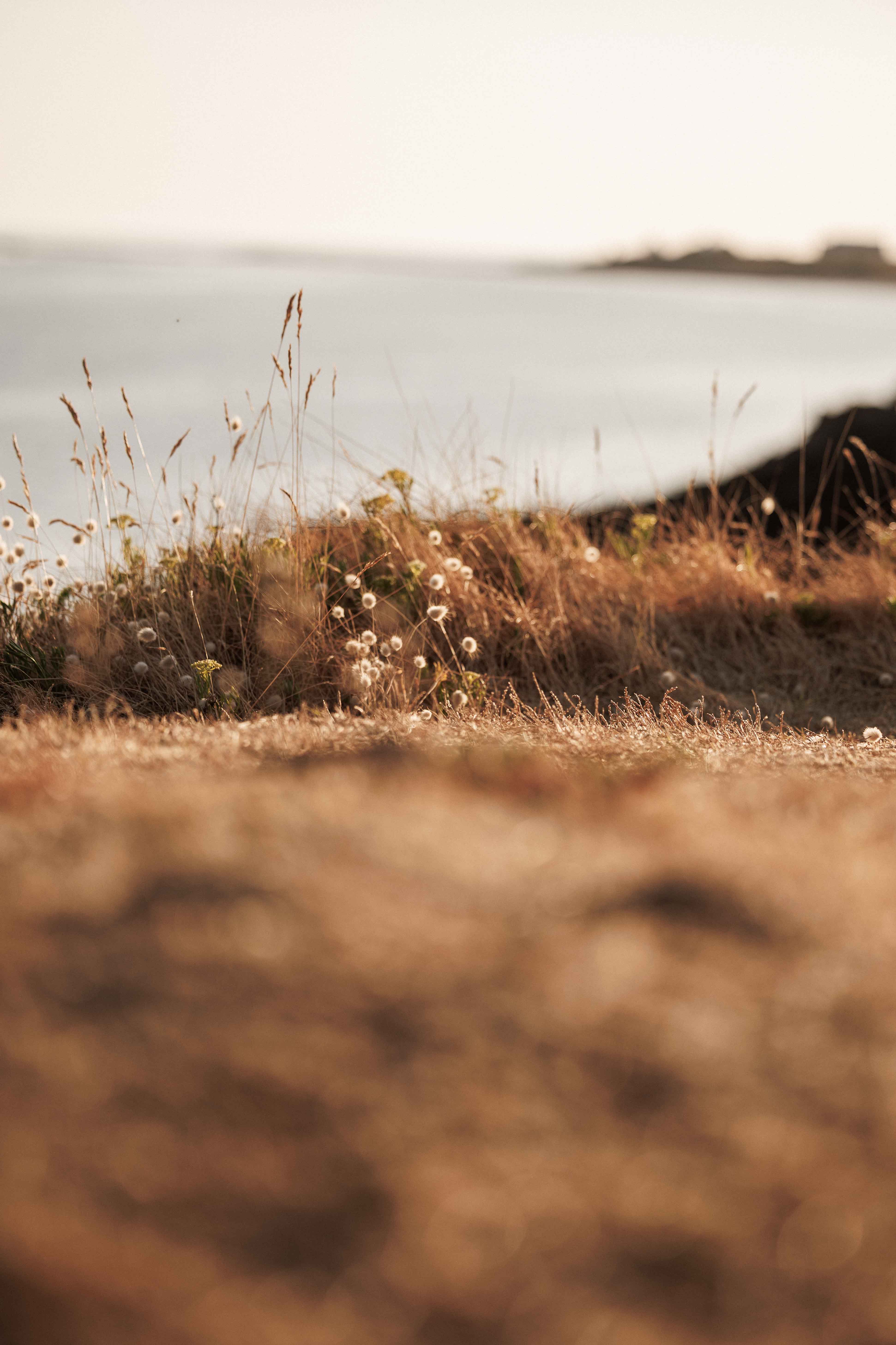 Littoral breton — Lumières du soir