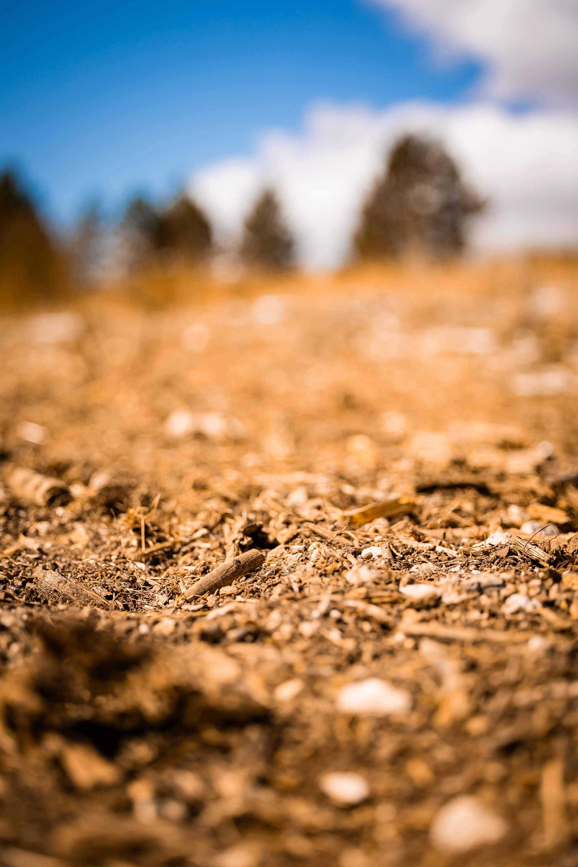 Terres de motocross — Paysages de circuits